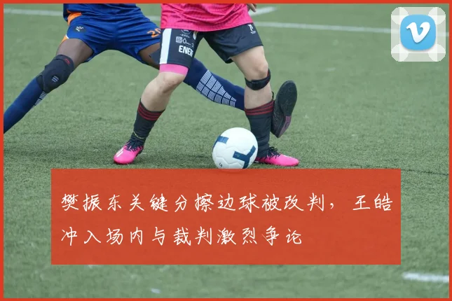樊振东关键分擦边球被改判，王皓冲入场内与裁判激烈争论